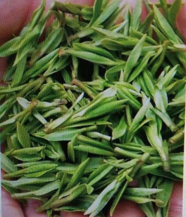 男女双方都属龙好吗，夫妻都是属龙会相克吗