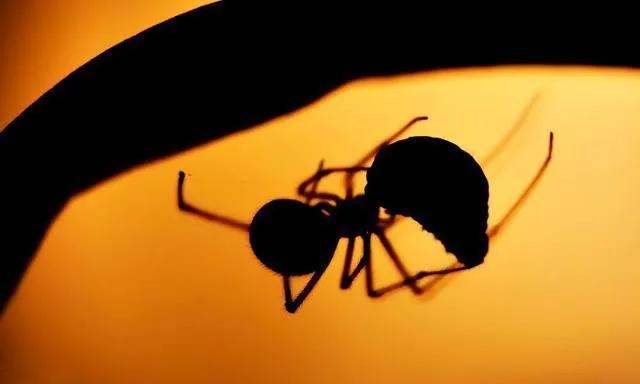 该不该离婚心理测试，夫妻超过三条迟早离婚