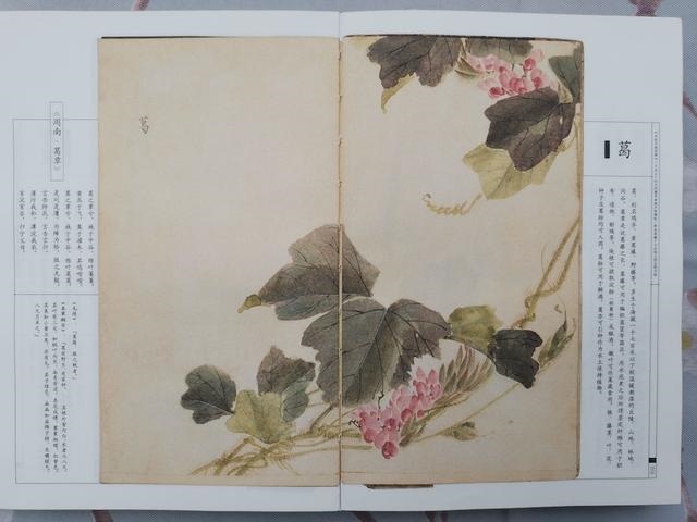 976年属龙一生坎年是哪几年,1976年的龙45岁后的财运"