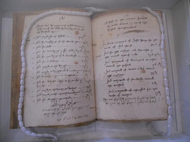 羊鼠在一起鼠得病，羊鼠在一起真的会死吗