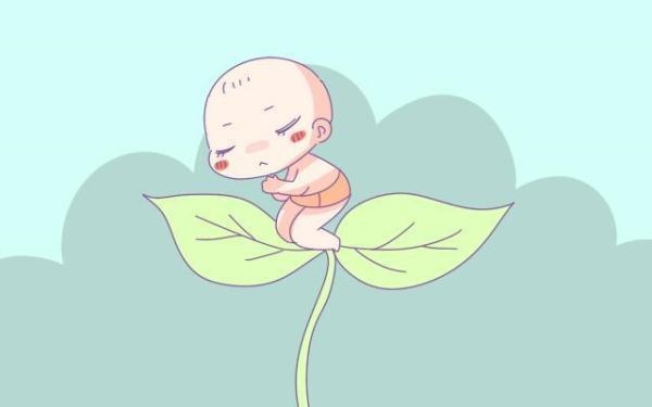 有福气的出生时辰，佛缘更好的属相