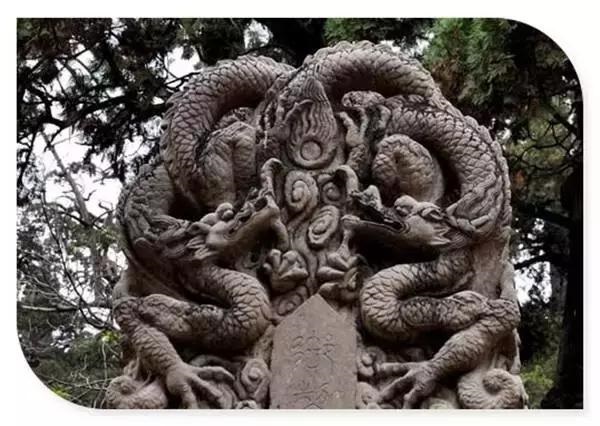 龙是几月份出生的，属龙哪个月出生最不好