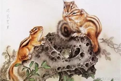 属于龙女和什么属相最配,哪个生肖爱属龙女