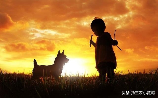 为什么说男怕戌时，戌时出生的男孩桃花运