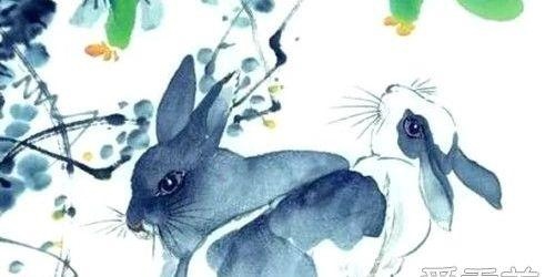 011属龙运势，1988年属龙女2011年运势"