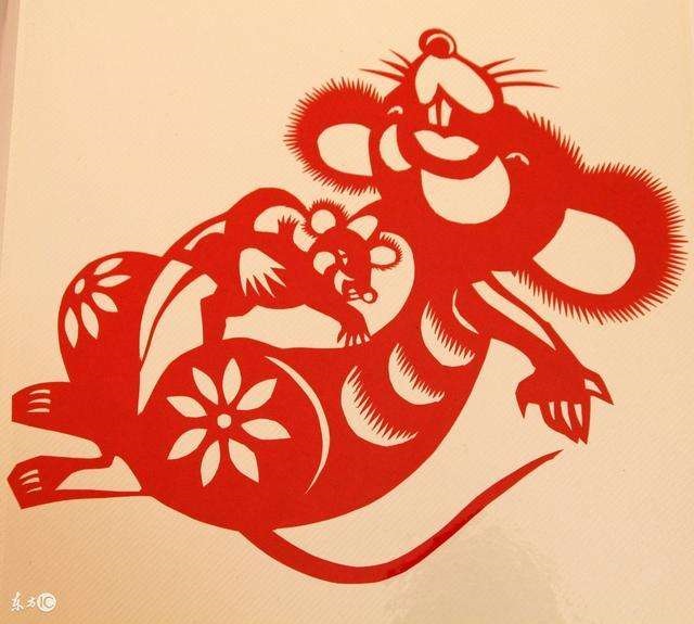 属鼠的2023年全年运势如何，2008年属鼠在2023年学业运势