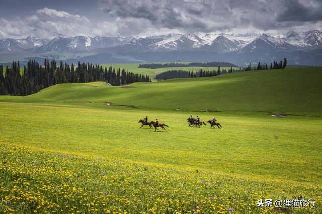 4年2022，1974年在2022年属什么生肖"