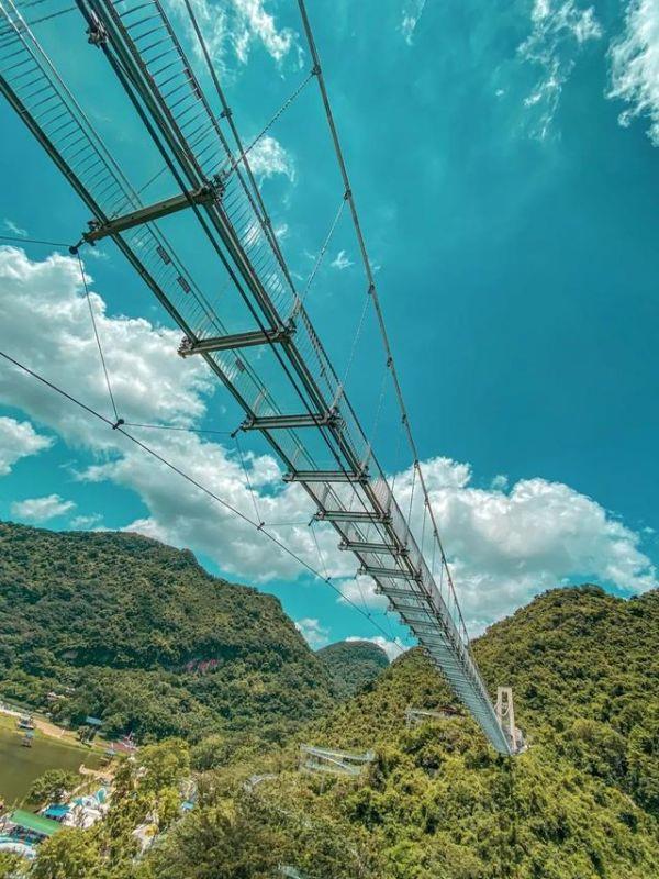 牛宝宝午时出生好吗，女命属牛午时出生好吗