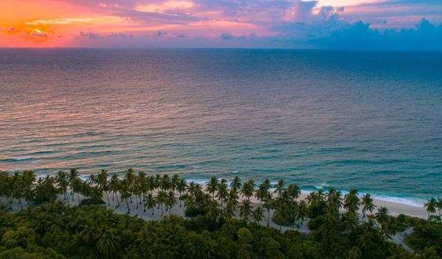 6年属虎最难的几年，属虎人一生最旺3个人"