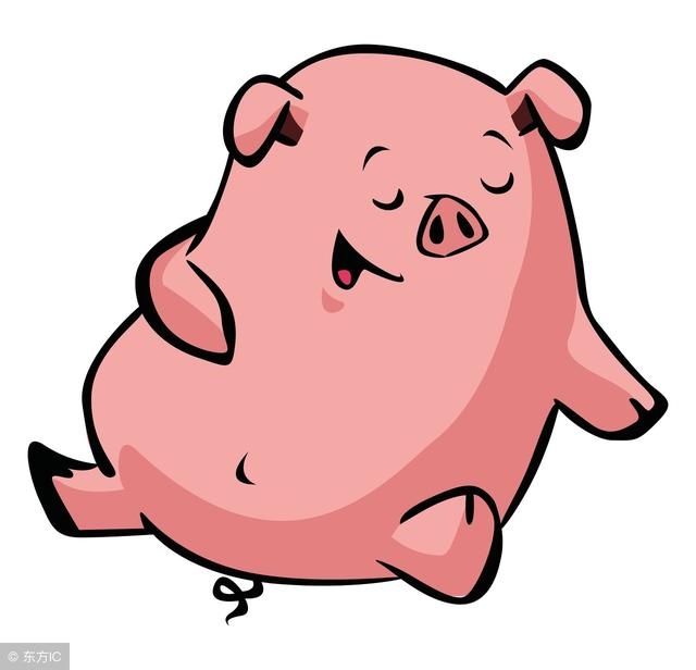 1属猪的人十年大运,属猪人的婚姻大忌"