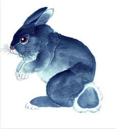 十二生肖冲三合6合，生肖三合6合相冲表