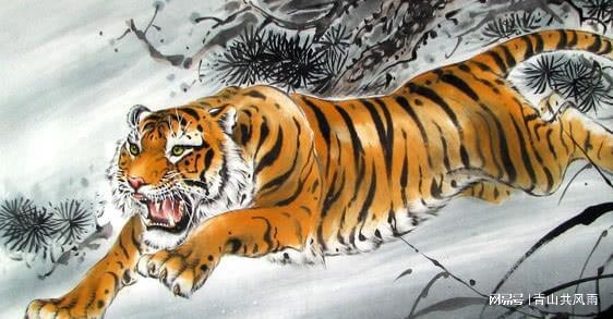 属虎的2022多少岁,属虎的2022 年多大年龄