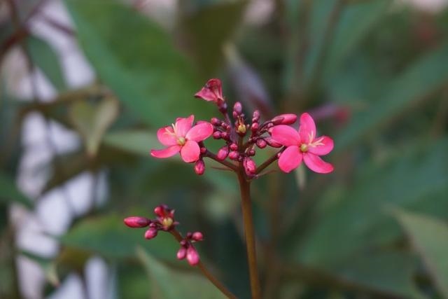 022最倒霉星座女，2022年最倒霉星座"