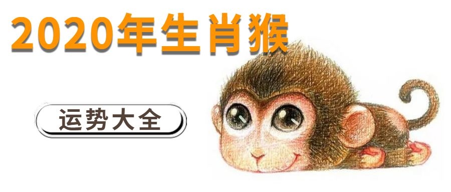 004属猴一生命运,2004属猴今年怎么样"