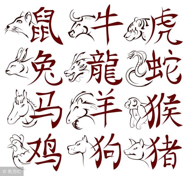 984女鼠一生财运状况，猪和鼠合不合财运"