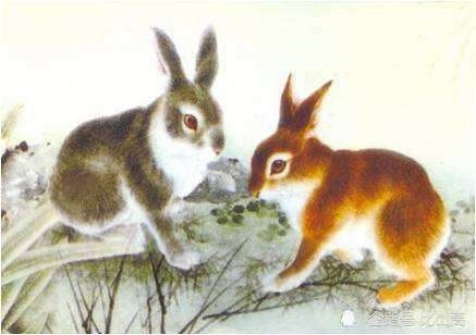 5年属兔人的婚姻状况，1975属兔45岁以后和谁结婚"