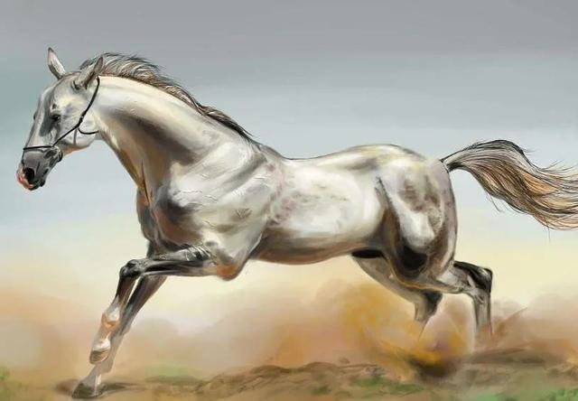 属牛和属马真的不能在一起吗，牛和马在一起什么都不顺