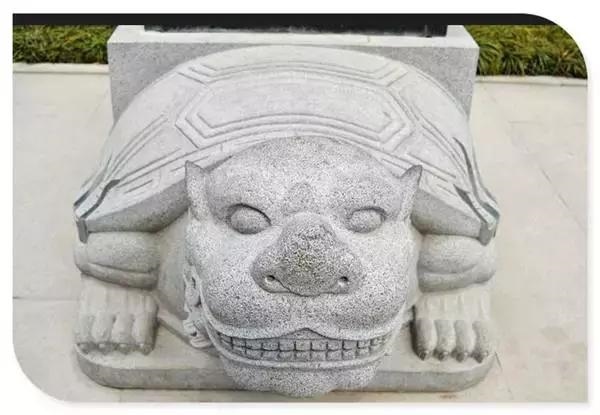 龙是几月份出生的，属龙哪个月出生最不好