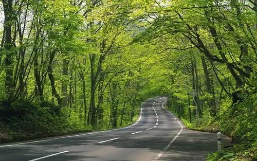 几点出生的就是什么命，一等命格时辰