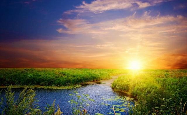 7年女2022年运势，1977年属蛇女2022大难"