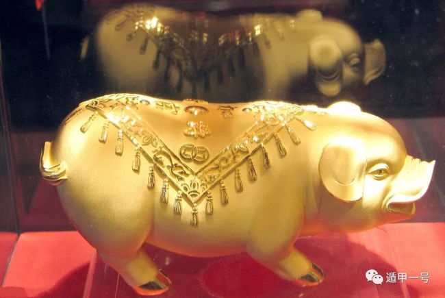 属猪和属龙的婚姻合不合,属猪女士和属龙的干事业合不合