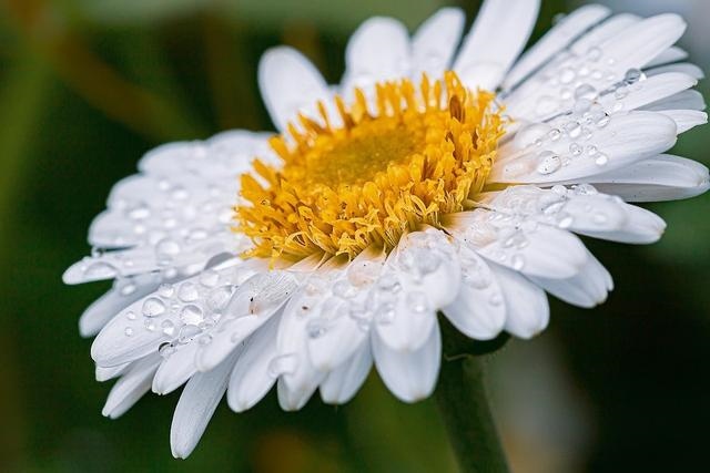 022年整体运势处女座，2022