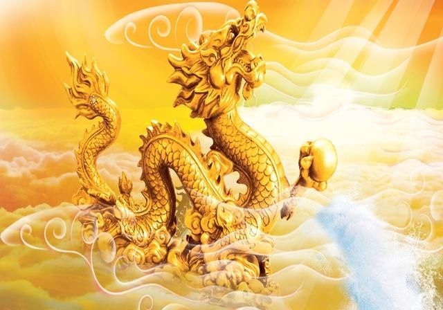 龙是八几年出生，2000年属龙女孩的婚姻