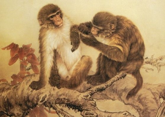 六八年属猴的今年命运如何，1968年属猴人2022 年运势