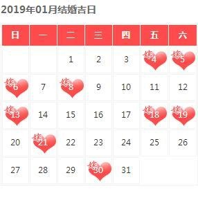 8年龙94狗什么时候结婚合适，泰迪狗的禁忌"