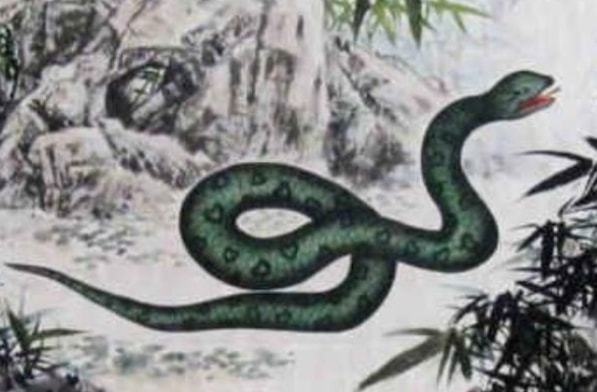 属龙女和属蛇男的合吗，2000年龙女配2001年蛇男好吗