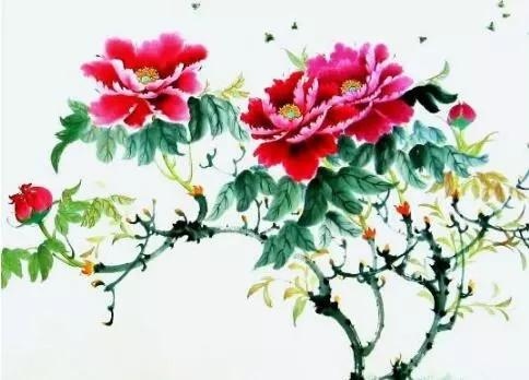 0年属猴40岁以后交运,1984年属鼠人一生运势"