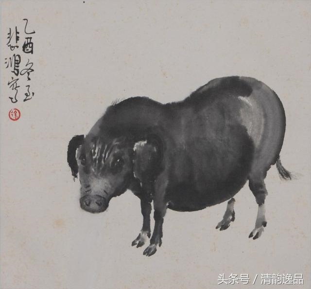 十二生肖清晰图动物相片，十二生肖可爱图片头像