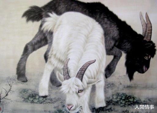 022年最旺的四个属相，2022年属虎的几月出生更好"