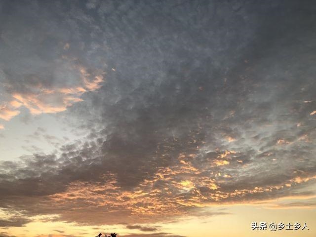 龙的生日是哪天，生日相差不到100天