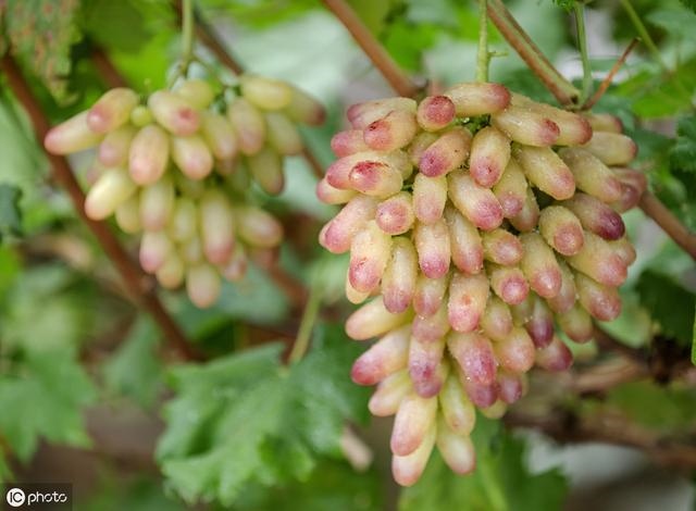 测自己2022年运势，占卜未来2022年运势