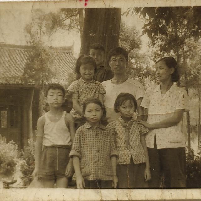 二十多岁属马是哪一年，属蛇属马适合做夫妻吗