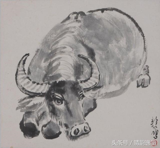 十二生肖清晰图动物相片，十二生肖可爱图片头像