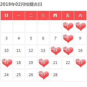 8年龙94狗什么时候结婚合适，泰迪狗的禁忌"