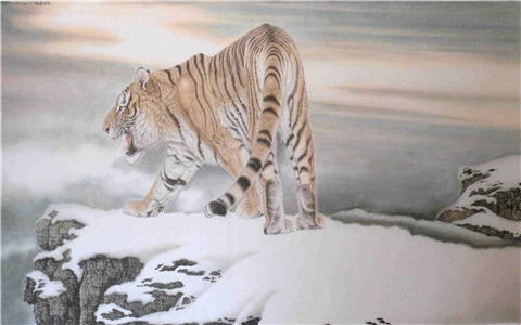 属虎和什么属相合财,1998属虎的属相婚配表