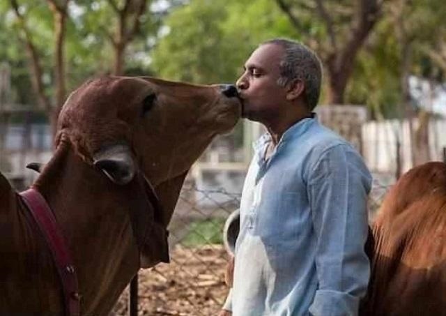 蛇男和牛女会幸福吗，蛇男和牛女的默契