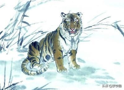 买十二生肖买马的官 ，十二生肖买马图表