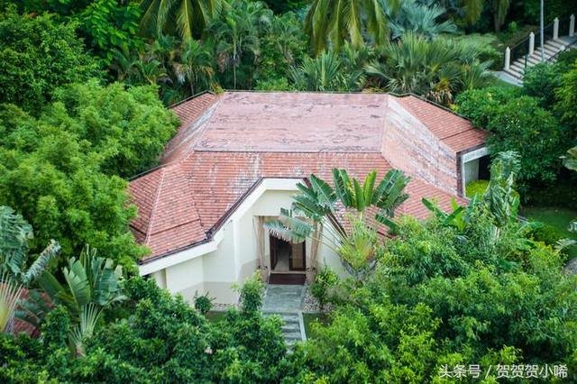 李居明九运的预测最新，李居明三元九运视频