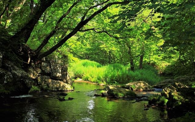 七月属龙人运势如何,属龙人今日运势