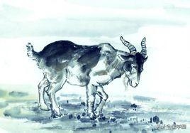 买十二生肖买马的官 ，十二生肖买马图表