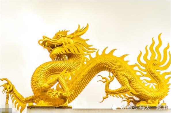 属龙5月出生的命运，农历1988年5月25日是什么命