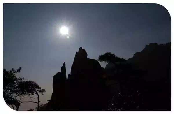 龙是几月份出生的，属龙哪个月出生最不好