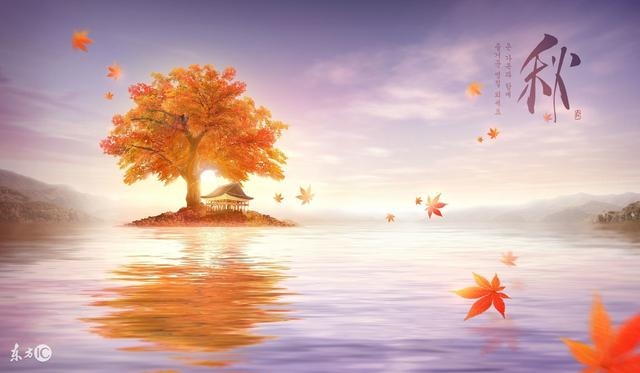 龙年出生的人命运详解，说说对属龙的属相了解