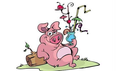 鸡和猪在一起有财运吗，1981年属鸡的是什么命