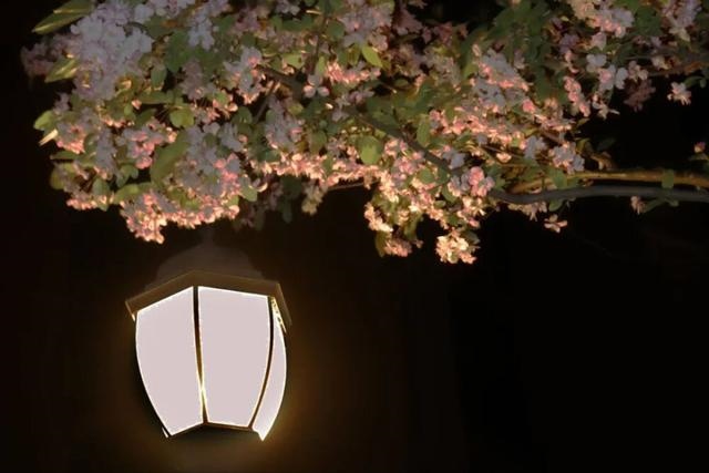 022年有外遇的星座男，2022年感情破裂的星座"