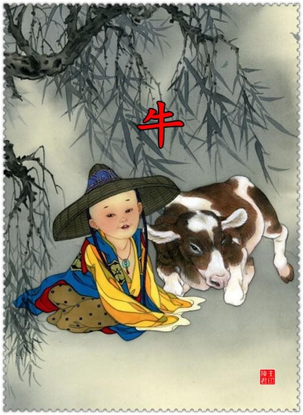 属龙和属马的合不合财运，龙和马在一起的寓意